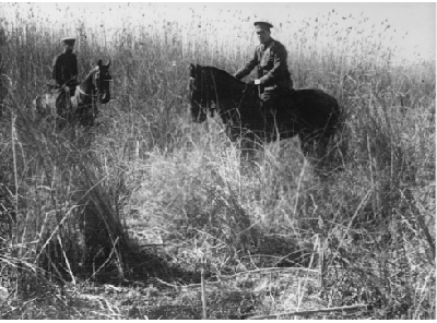 Royal Naval Division .info Two Officers on horseback at Salonica