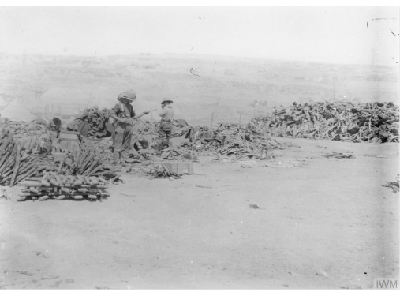 Royal Naval Division .info Collecting salvage following the Third Battle of Krithia