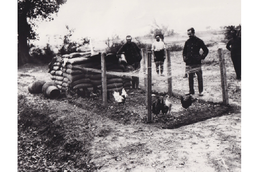 Royal Naval Division .info Fowl run near the officer's dugouts Gallipoli