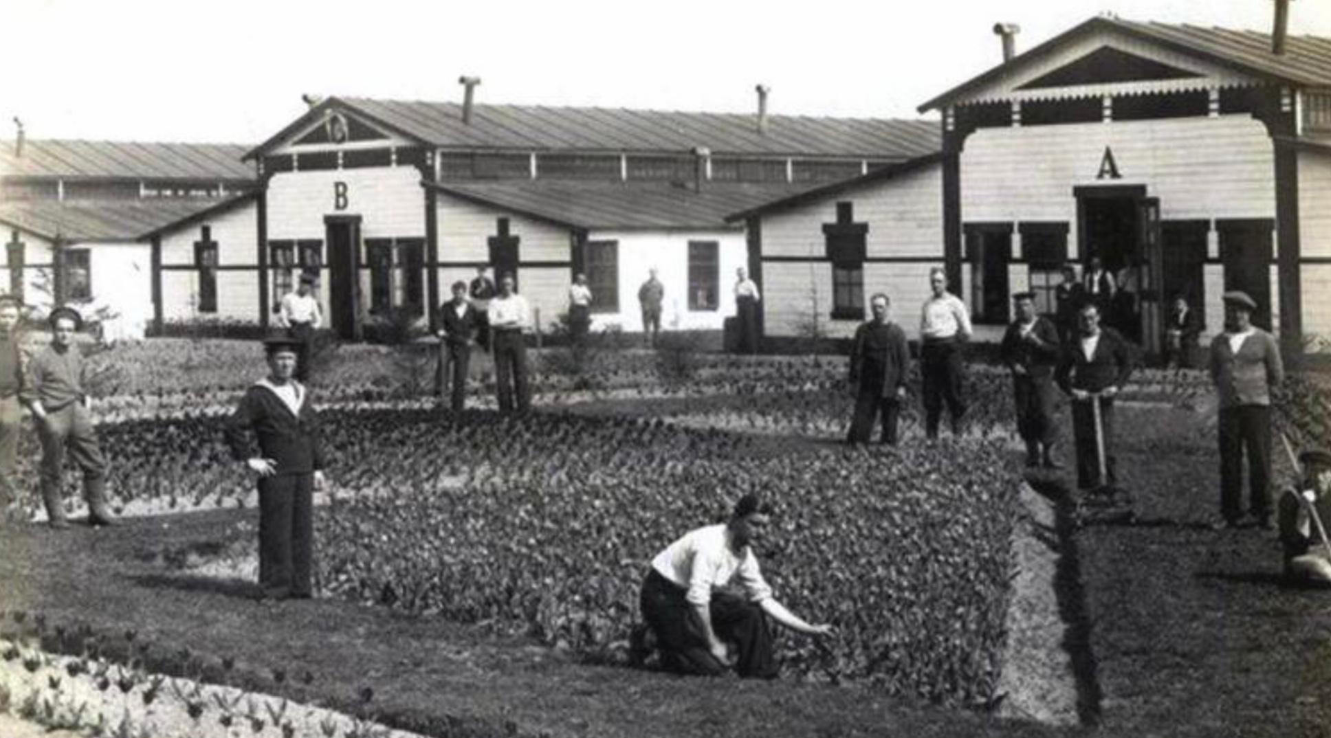 Groningen Internment Camp Internees